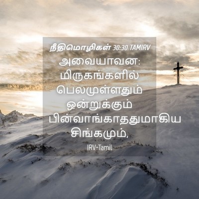 Picture 04 - நீதிமொழிகள் 30:30 TAMIRV - அவையாவன: - Bible Verse Picture