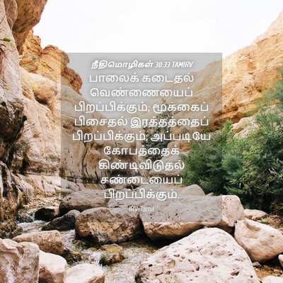 Picture 04 - நீதிமொழிகள் 30:33 TAMIRV - பாலைக் கடைதல் - Bible Verse Picture