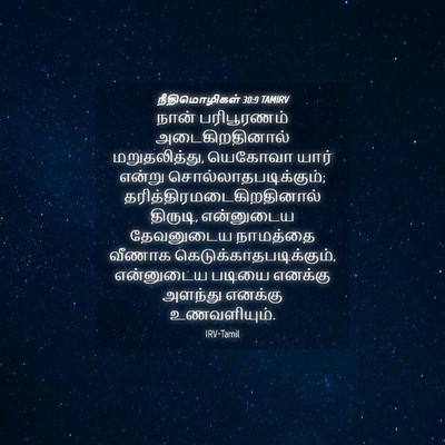 Picture 04 - நீதிமொழிகள் 30:9 TAMIRV - நான் பரிபூரணம் - Bible Verse Picture