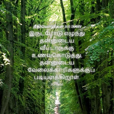 Picture 04 - நீதிமொழிகள் 31:15 TAMIRV - இருட்டோடு எழுந்து - Bible Verse Picture