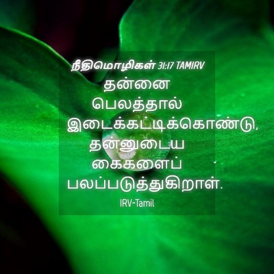 Picture 04 - நீதிமொழிகள் 31:17 TAMIRV - தன்னை பெலத்தால் - Bible Verse Picture