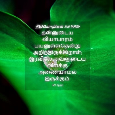 Picture 04 - நீதிமொழிகள் 31:18 TAMIRV - தன்னுடைய - Bible Verse Picture
