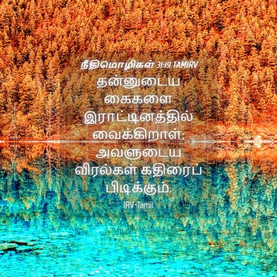 Picture 04 - நீதிமொழிகள் 31:19 TAMIRV - தன்னுடைய கைகளை - Bible Verse Picture