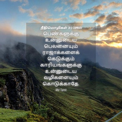 Picture 04 - நீதிமொழிகள் 31:3 TAMIRV - பெண்களுக்கு - Bible Verse Picture