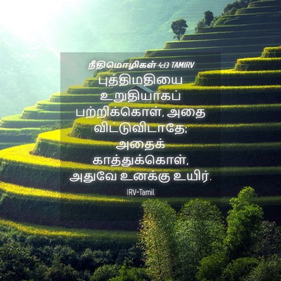 Picture 04 - நீதிமொழிகள் 4:13 TAMIRV - புத்திமதியை - Bible Verse Picture