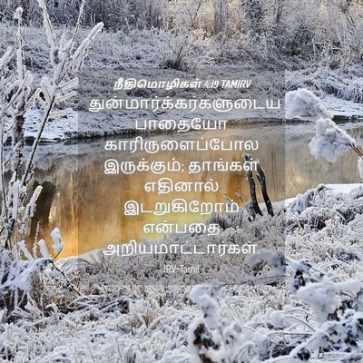 Picture 04 - நீதிமொழிகள் 4:19 TAMIRV -  - Bible Verse Picture