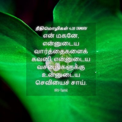 Picture 04 - நீதிமொழிகள் 4:20 TAMIRV - என் மகனே, என்னுடைய - Bible Verse Picture