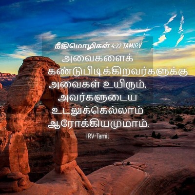 Picture 04 - நீதிமொழிகள் 4:22 TAMIRV - அவைகளைக் - Bible Verse Picture