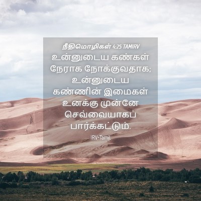 Picture 04 - நீதிமொழிகள் 4:25 TAMIRV - உன்னுடைய கண்கள் - Bible Verse Picture