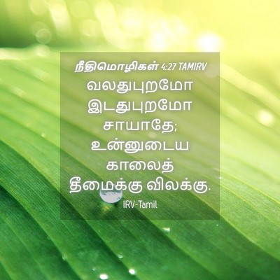 Picture 04 - நீதிமொழிகள் 4:27 TAMIRV - வலதுபுறமோ - Bible Verse Picture