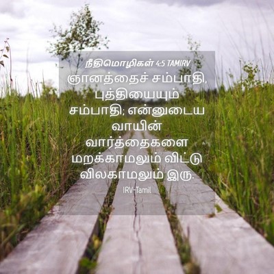 Picture 04 - நீதிமொழிகள் 4:5 TAMIRV - ஞானத்தைச் - Bible Verse Picture