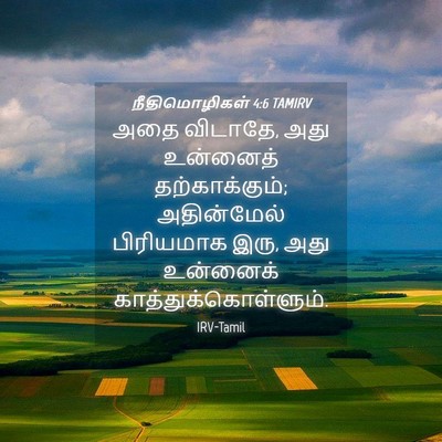 Picture 04 - நீதிமொழிகள் 4:6 TAMIRV - அதை விடாதே, அது - Bible Verse Picture