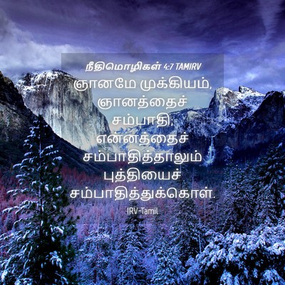 Picture 04 - நீதிமொழிகள் 4:7 TAMIRV - ஞானமே முக்கியம், - Bible Verse Picture
