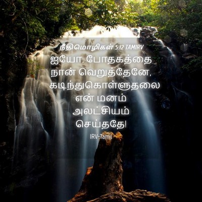 Picture 04 - நீதிமொழிகள் 5:12 TAMIRV - ஐயோ, போதகத்தை நான் - Bible Verse Picture