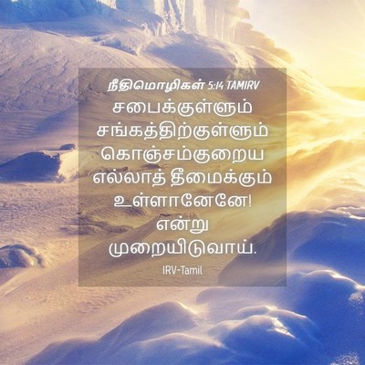 Picture 04 - நீதிமொழிகள் 5:14 TAMIRV - சபைக்குள்ளும் - Bible Verse Picture