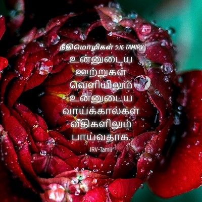 Picture 04 - நீதிமொழிகள் 5:16 TAMIRV - உன்னுடைய ஊற்றுகள் - Bible Verse Picture