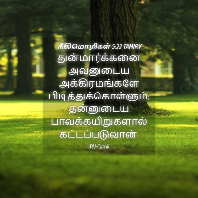 Picture 04 - நீதிமொழிகள் 5:22 TAMIRV - துன்மார்க்கனை - Bible Verse Picture