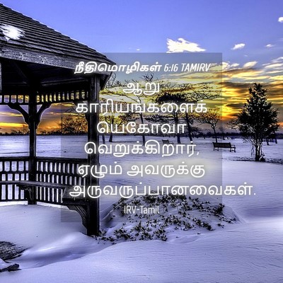 Picture 04 - நீதிமொழிகள் 6:16 TAMIRV - ஆறு காரியங்களைக் - Bible Verse Picture