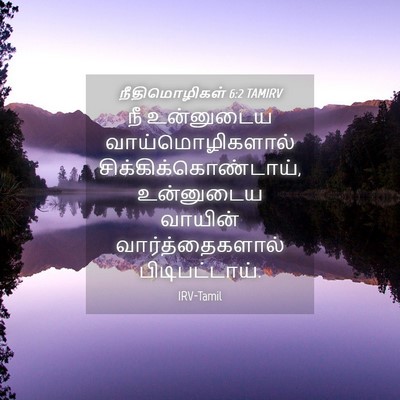 Picture 04 - நீதிமொழிகள் 6:2 TAMIRV - நீ உன்னுடைய - Bible Verse Picture