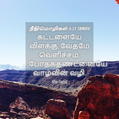 Picture 04 - நீதிமொழிகள் 6:23 TAMIRV - கட்டளையே விளக்கு, - Bible Verse Picture