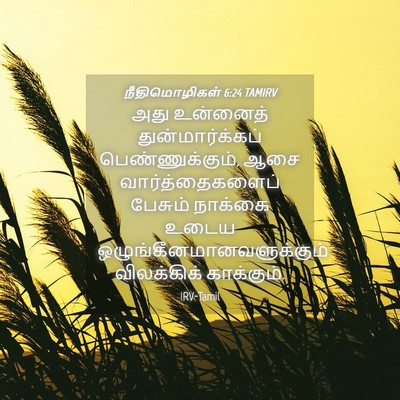Picture 04 - நீதிமொழிகள் 6:24 TAMIRV - அது உன்னைத் - Bible Verse Picture
