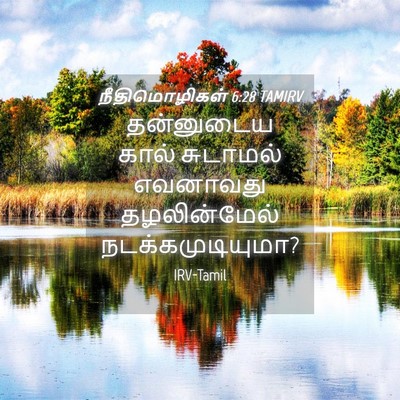 Picture 04 - நீதிமொழிகள் 6:28 TAMIRV - தன்னுடைய கால் - Bible Verse Picture