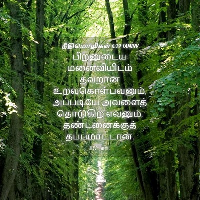 Picture 04 - நீதிமொழிகள் 6:29 TAMIRV - பிறனுடைய - Bible Verse Picture