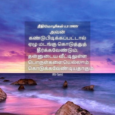 Picture 04 - நீதிமொழிகள் 6:31 TAMIRV - அவன் - Bible Verse Picture