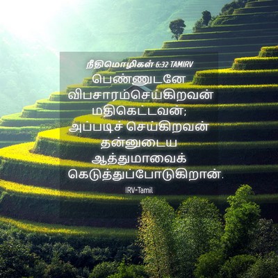 Picture 04 - நீதிமொழிகள் 6:32 TAMIRV - பெண்ணுடனே - Bible Verse Picture