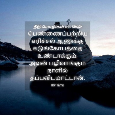 Picture 04 - நீதிமொழிகள் 6:34 TAMIRV - பெண்ணைப்பற்றிய - Bible Verse Picture