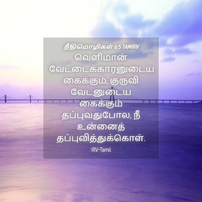 Picture 04 - நீதிமொழிகள் 6:5 TAMIRV - வெளிமான் - Bible Verse Picture