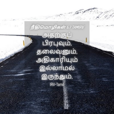 Picture 04 - நீதிமொழிகள் 6:7 TAMIRV - அதற்குப் - Bible Verse Picture