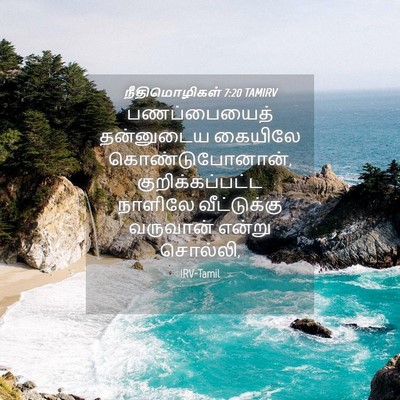 Picture 04 - நீதிமொழிகள் 7:20 TAMIRV - பணப்பையைத் - Bible Verse Picture