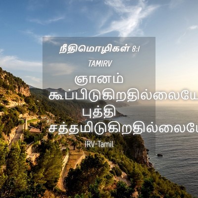 Picture 04 - நீதிமொழிகள் 8:1 TAMIRV - ஞானம் - Bible Verse Picture