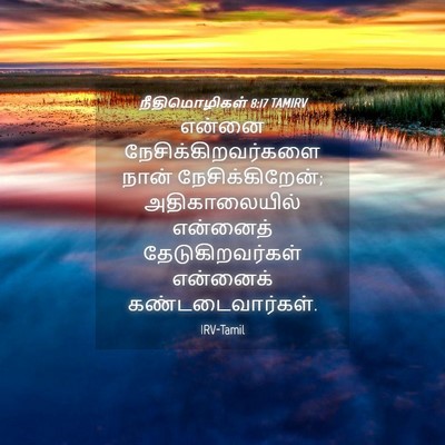 Picture 04 - நீதிமொழிகள் 8:17 TAMIRV - என்னை - Bible Verse Picture