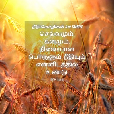 Picture 04 - நீதிமொழிகள் 8:18 TAMIRV - செல்வமும், கனமும், - Bible Verse Picture