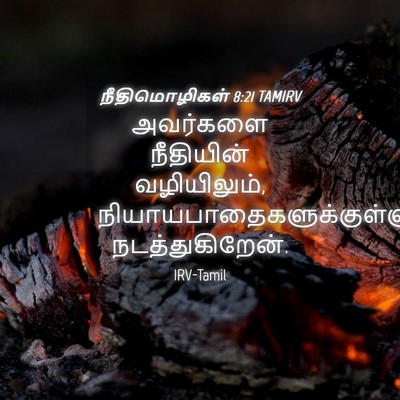 Picture 04 - நீதிமொழிகள் 8:21 TAMIRV - அவர்களை நீதியின் - Bible Verse Picture