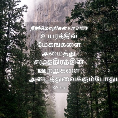 Picture 04 - நீதிமொழிகள் 8:28 TAMIRV - உயரத்தில் - Bible Verse Picture