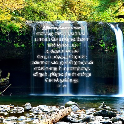 Picture 04 - நீதிமொழிகள் 8:36 TAMIRV - எனக்கு விரோதமாகப் - Bible Verse Picture