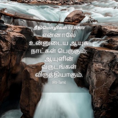 Picture 04 - நீதிமொழிகள் 9:11 TAMIRV - என்னாலே உன்னுடைய - Bible Verse Picture