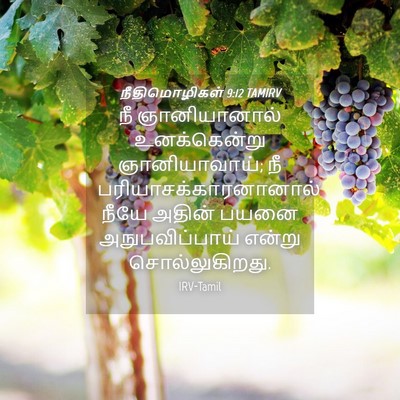 Picture 04 - நீதிமொழிகள் 9:12 TAMIRV - நீ ஞானியானால் - Bible Verse Picture
