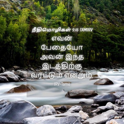 Picture 04 - நீதிமொழிகள் 9:16 TAMIRV - எவன் பேதையோ அவன் - Bible Verse Picture
