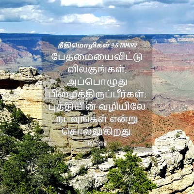 Picture 04 - நீதிமொழிகள் 9:6 TAMIRV - பேதமையைவிட்டு - Bible Verse Picture