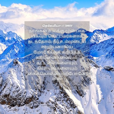 Picture 04 - நெகேமியா 1:7 TAMIRV - நாங்கள் உமக்கு - Bible Verse Picture