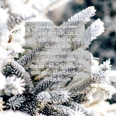 Picture 04 - நெகேமியா 10:1 TAMIRV -  - Bible Verse Picture