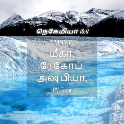 Picture 04 - நெகேமியா 10:11 TAMIRV - மீகா, ரேகோப், - Bible Verse Picture