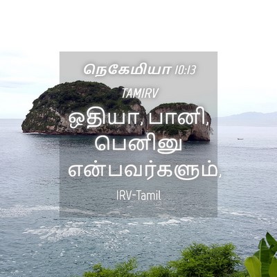 Picture 04 - நெகேமியா 10:13 TAMIRV - ஒதியா, பானி, பெனினு - Bible Verse Picture