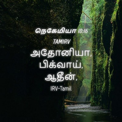 Picture 04 - நெகேமியா 10:16 TAMIRV - அதோனியா, பிக்வாய், - Bible Verse Picture