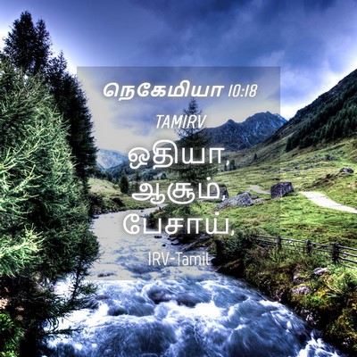 Picture 04 - நெகேமியா 10:18 TAMIRV - ஒதியா, ஆசூம், - Bible Verse Picture