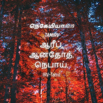 Picture 04 - நெகேமியா 10:19 TAMIRV - ஆரீப், ஆனதோத், - Bible Verse Picture